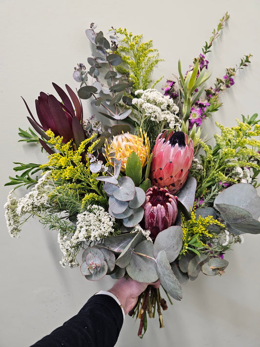 Bushland Blooms